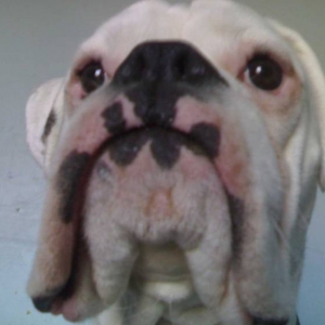 Big flappy lips!