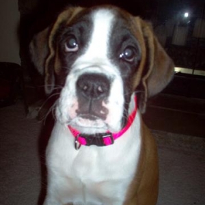sweet girl
