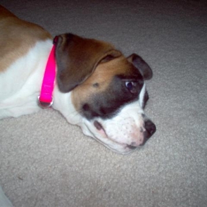 sleepy time