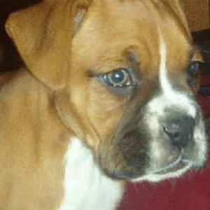 Beau 6 weeks
