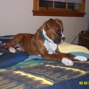 Apparently, this is her bed now.