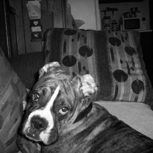 Don't I look "devilish"?