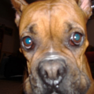 Lilo Up Close