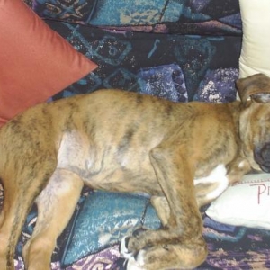 Taika sleeping
