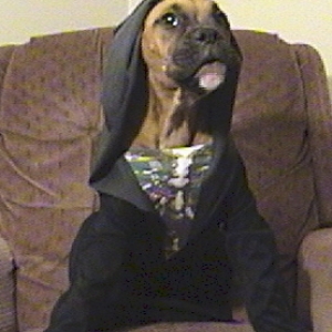 Bridget halloween 2005