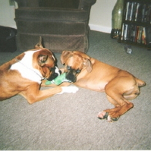 Just Playing