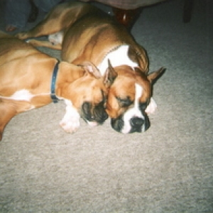 Sleeping