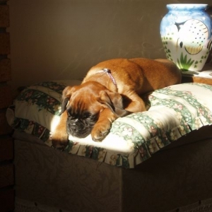 Found the sun!!