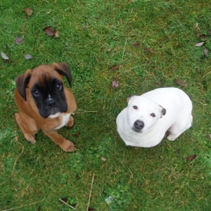 Me and my pal Tilly.