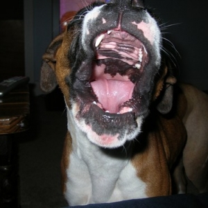 I am female, hear my roar!