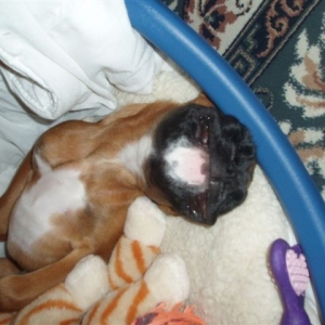 sleeping not laughing!!!