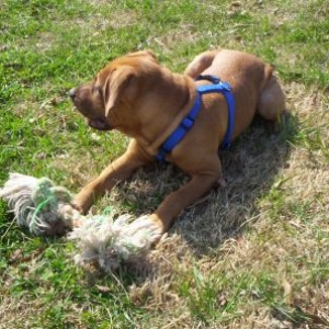 Cali at the park- March 16, 2006