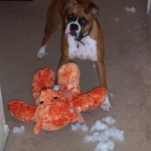 Did I do that?