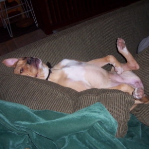 Silly sleepy girl