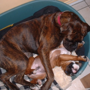 'Hey you, get outta my bed'