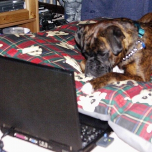Bruno on his laptop