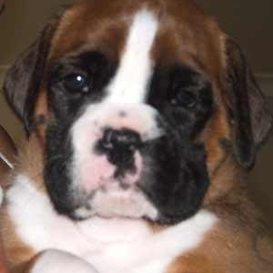 baby baxter at 6 weeks