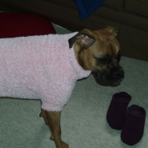Lunas new sweater