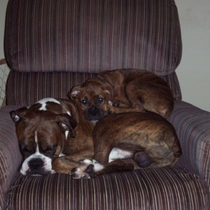 daddy makes a good pillow