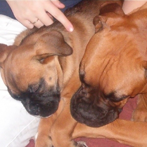 Bowzer's new playmate