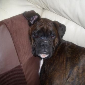 Mum let me sleep!!!