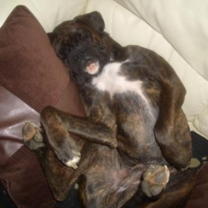 Worn out after long walk!