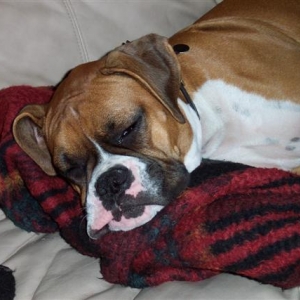 Down for the Count