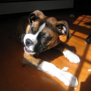 Hemi