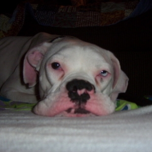 Who's a mushy face Gabe?  Who?
