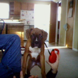 1st day home