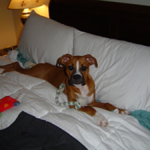 in_my_bed