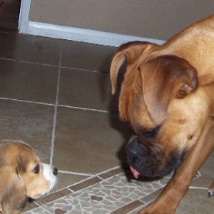 Rocky meets Molly