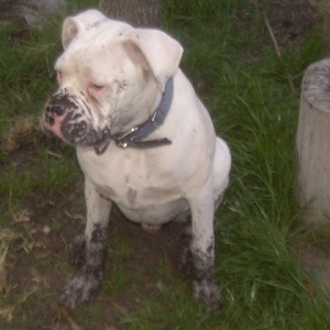 I'm such a good boy