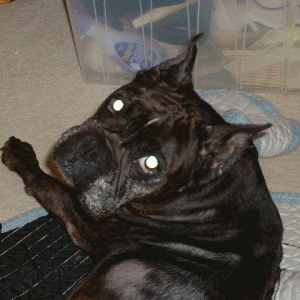 Are you talkin' to me??