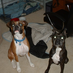 We Angels Mom - Can we have a treat???