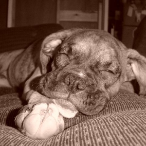 Abbie sleeping