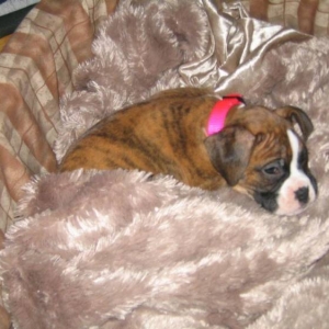 Nap Time