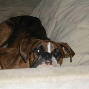 Sleepy Smith