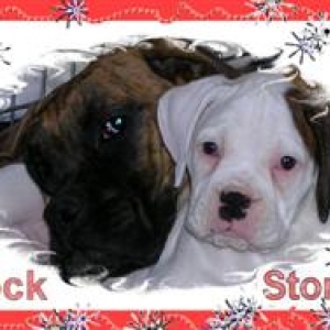 BrockandStormie