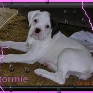 Stormie