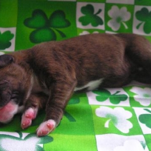 First Picture of Rogue