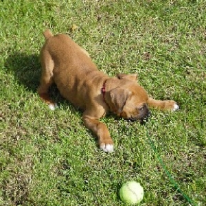 Wanna Play?