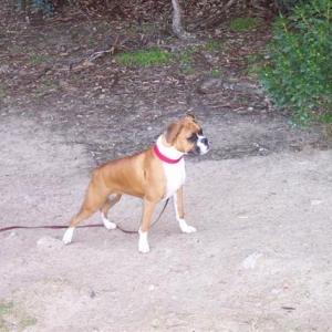 Should I Stay or Go?