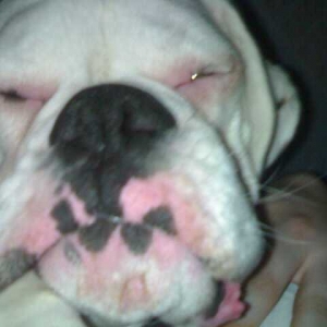 Asleep!