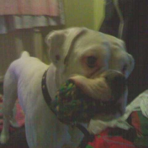 My Toy!