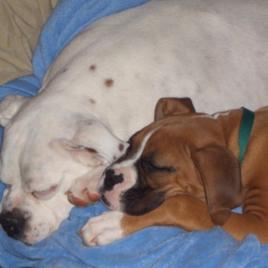 Nap Time