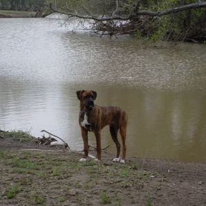 Buddy-7mo