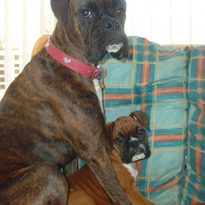Lola 11 months, Zeb almost 11 weeks