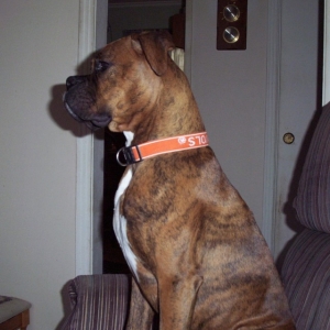 gabby sitting pretty