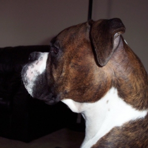 my best side